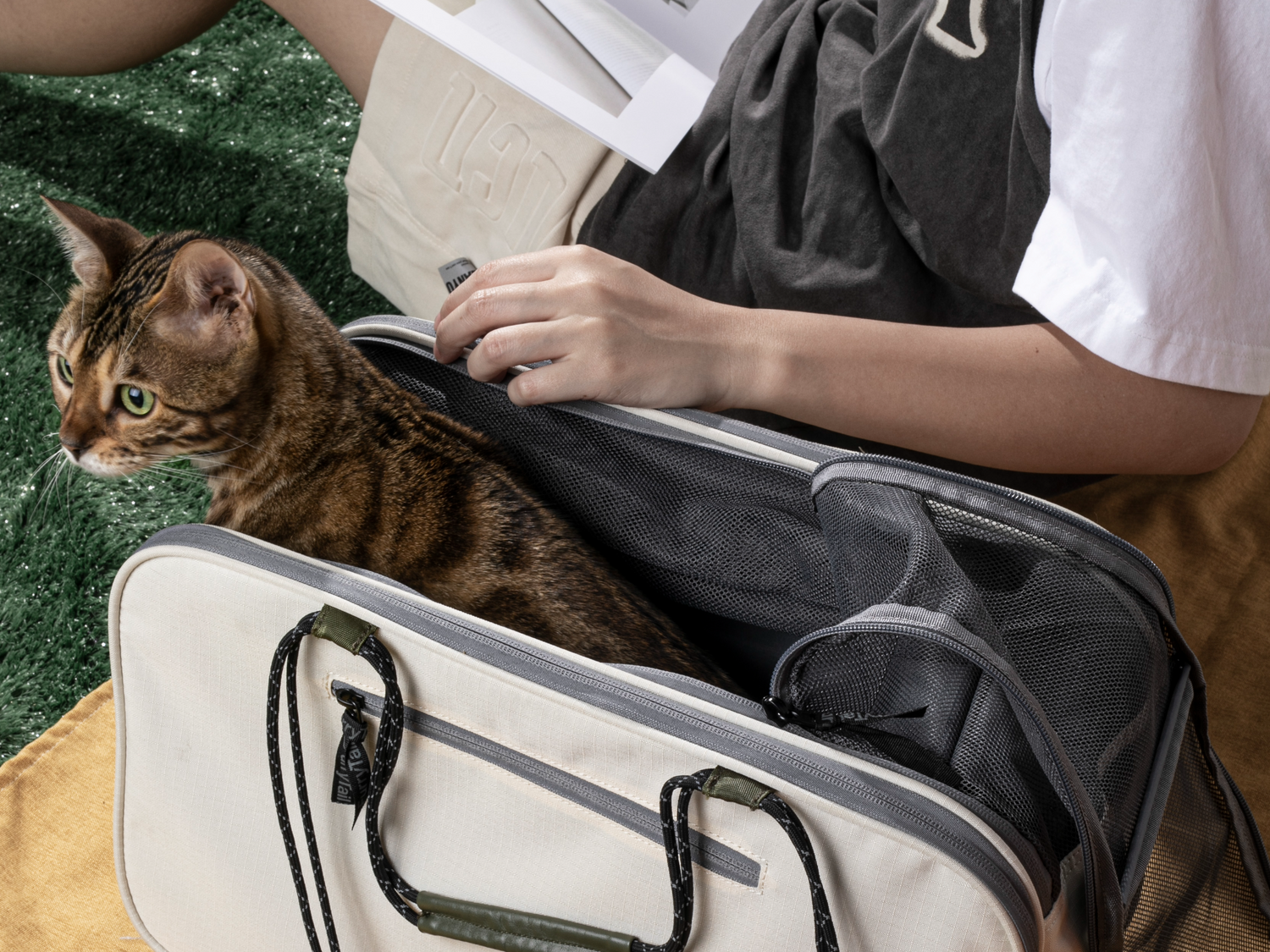 Cat in FurryTail’s Pet Carrier.