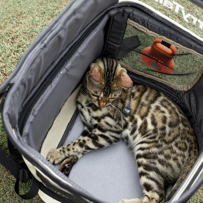 Foldable Cat Backpack