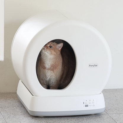 Automatic Cat Litter Box