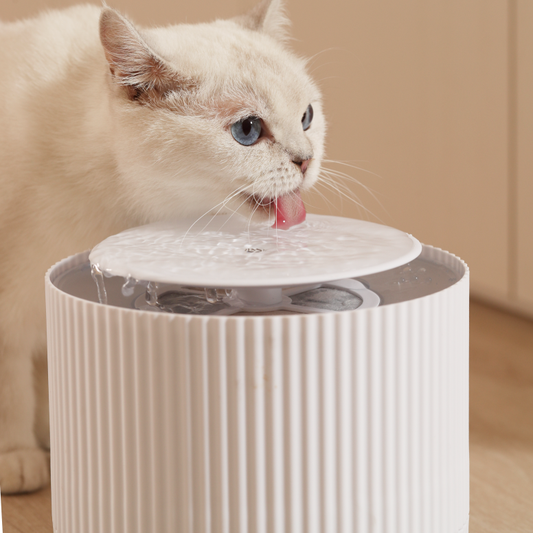 Automatic Clear Cat Water Fountain/2L