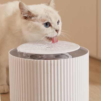 Automatic Clear Cat Water Fountain/2L