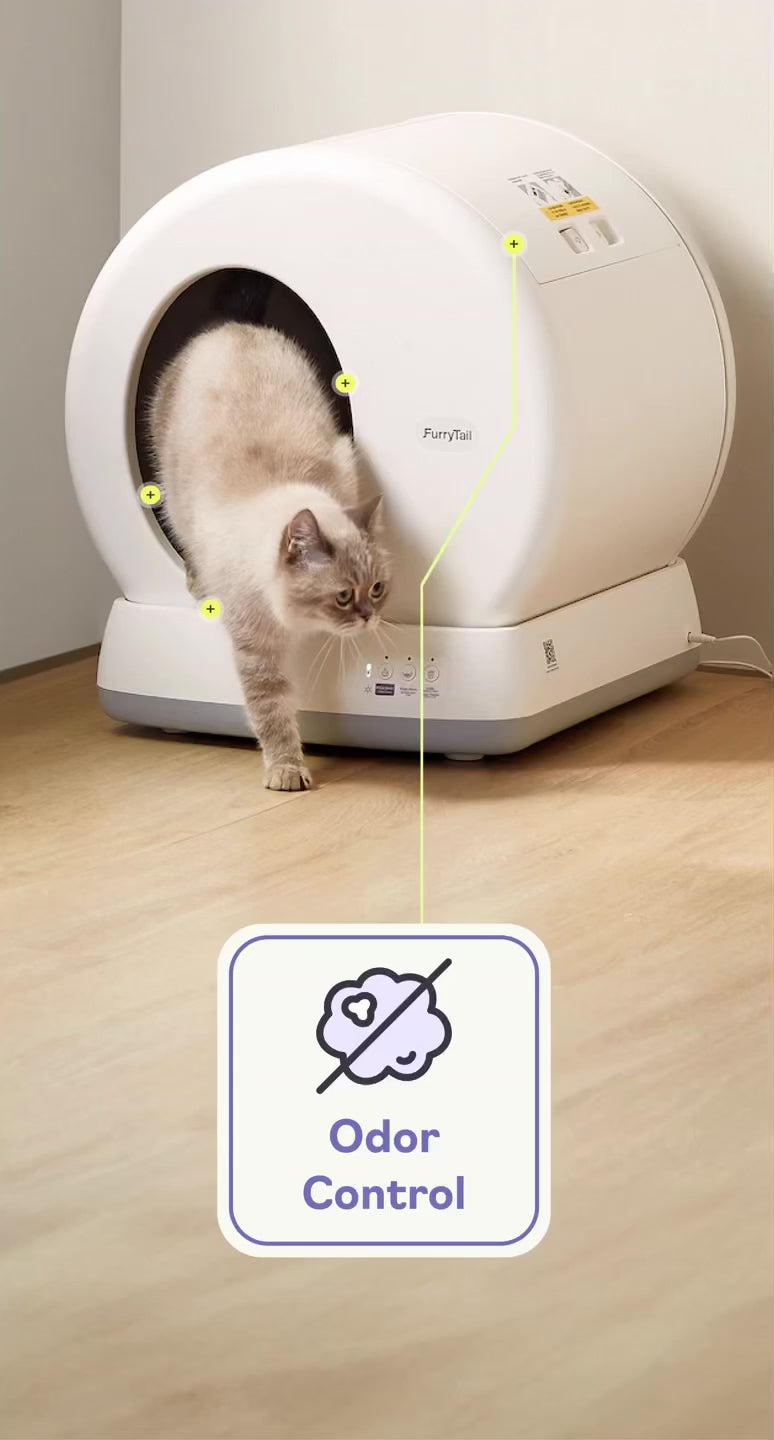 Automatic Cat Litter Box