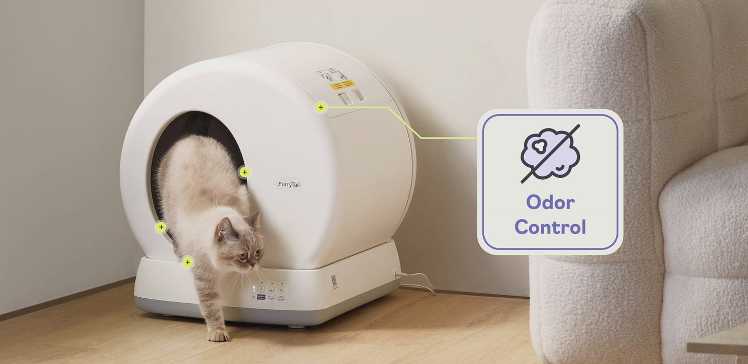 Automatic Cat Litter Box